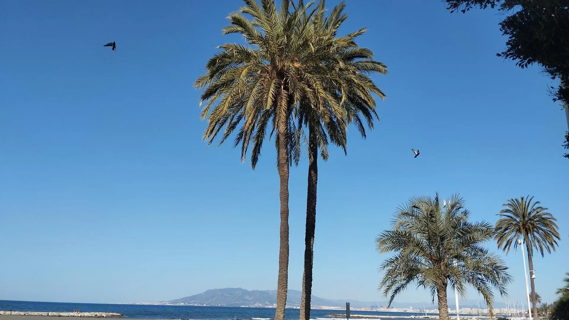 Apartamento Alhóndiga El Palo Málaga Espanha