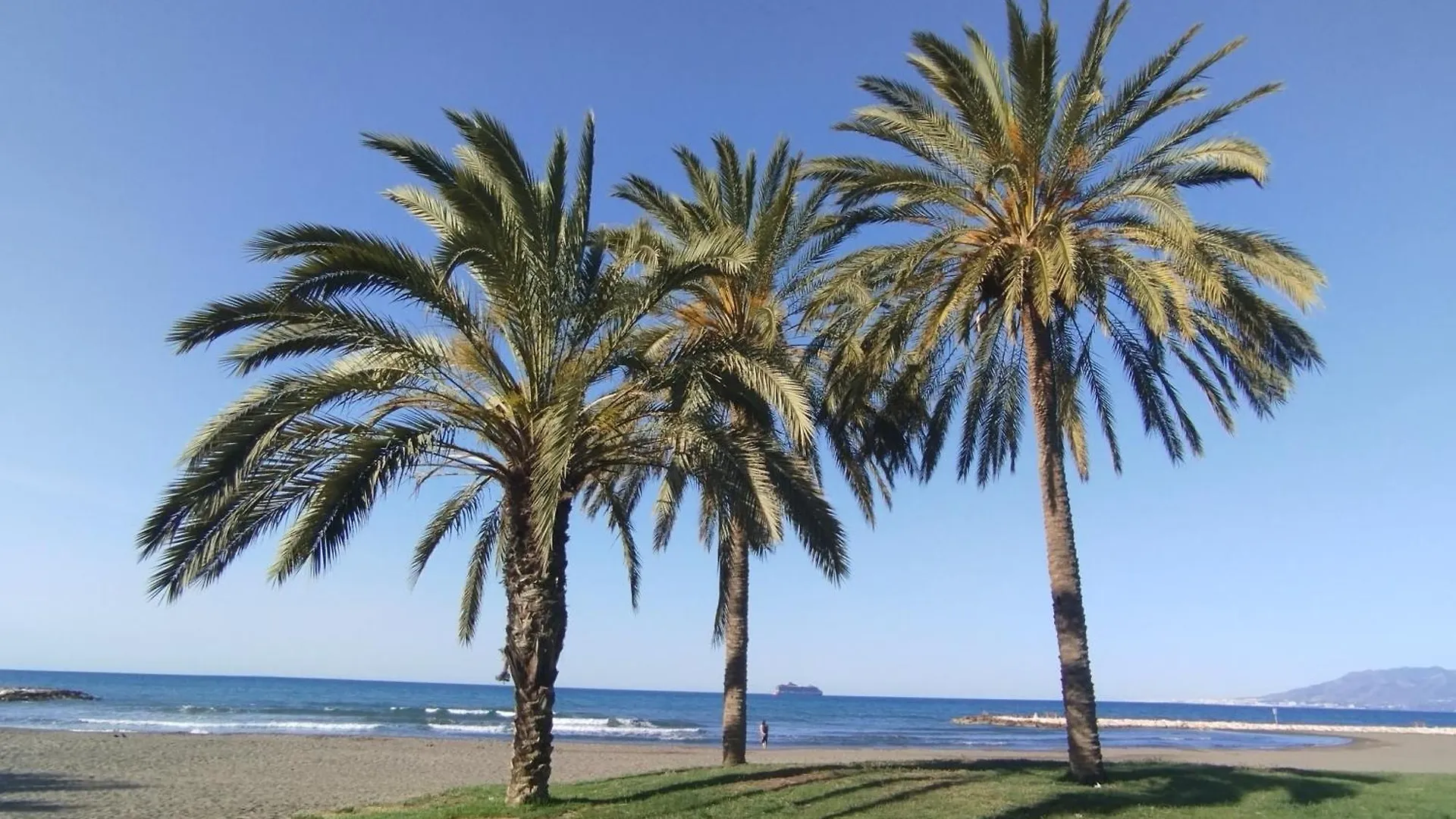 Apartamento Alhóndiga El Palo Málaga Espanha
